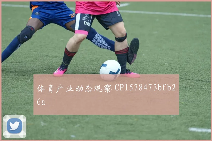 体育产业动态观察 CP1578473bfb26a